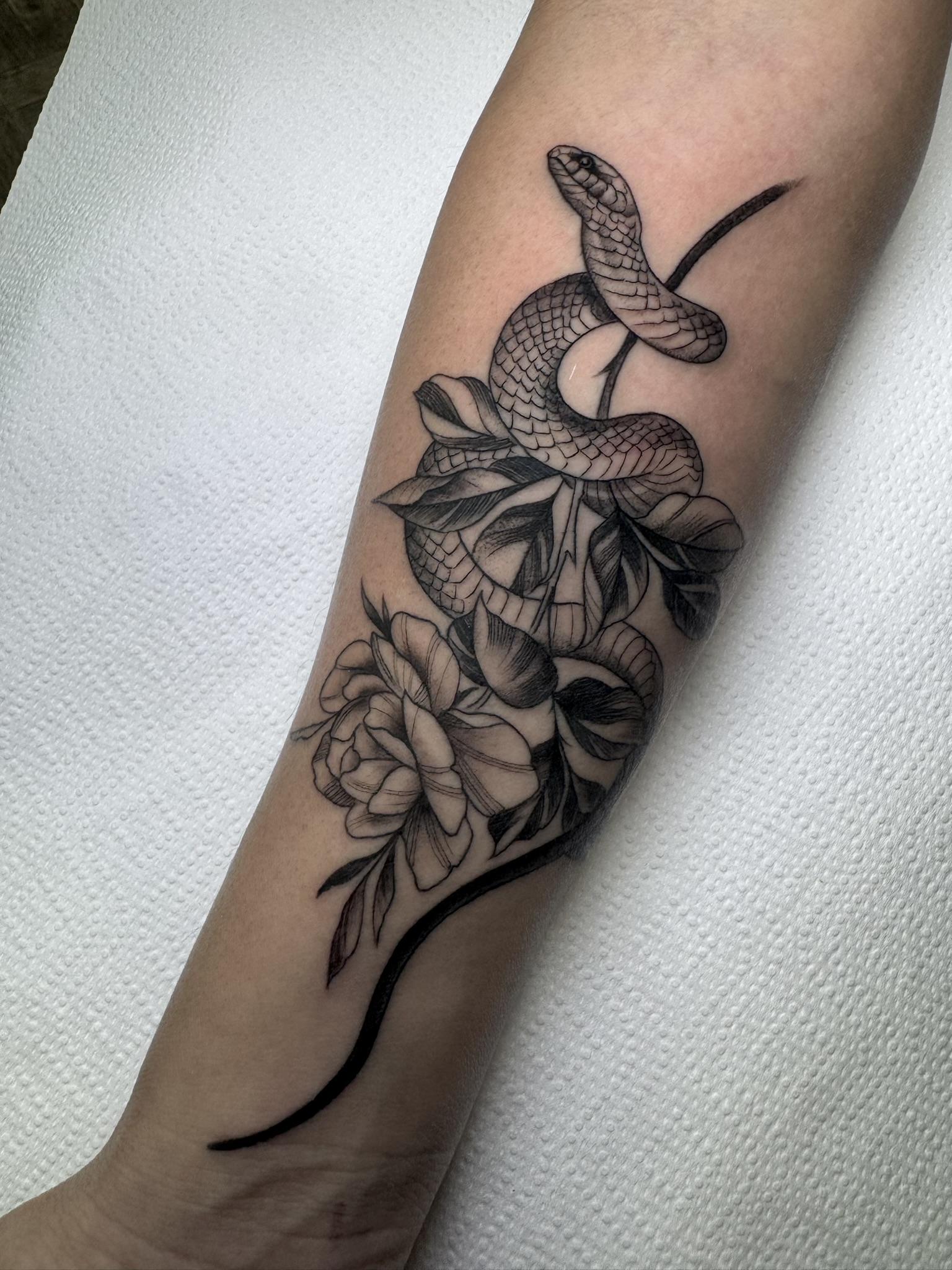 Fine line work — lavoro 1, Carlitos Junior Ink Roma